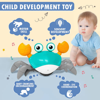 Crawling Crab Musical Toy