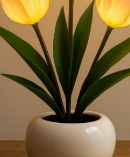 Night Table Lamp