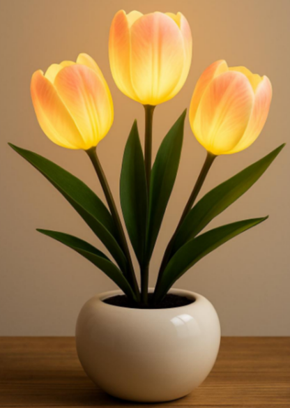Night Table Lamp